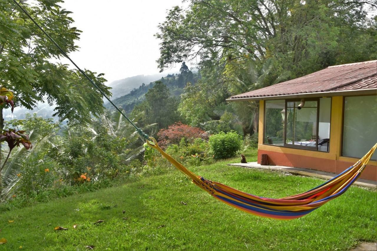 Salento Finca Hotel Mundo Nuevo Exteriör bild